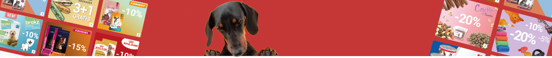 header_title